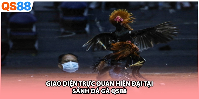 Giao diện trực quan hiện đại tại sảnh đá gà QS88