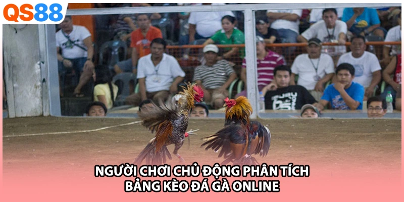 Người chơi chủ động phân tích bảng kèo đá gà online